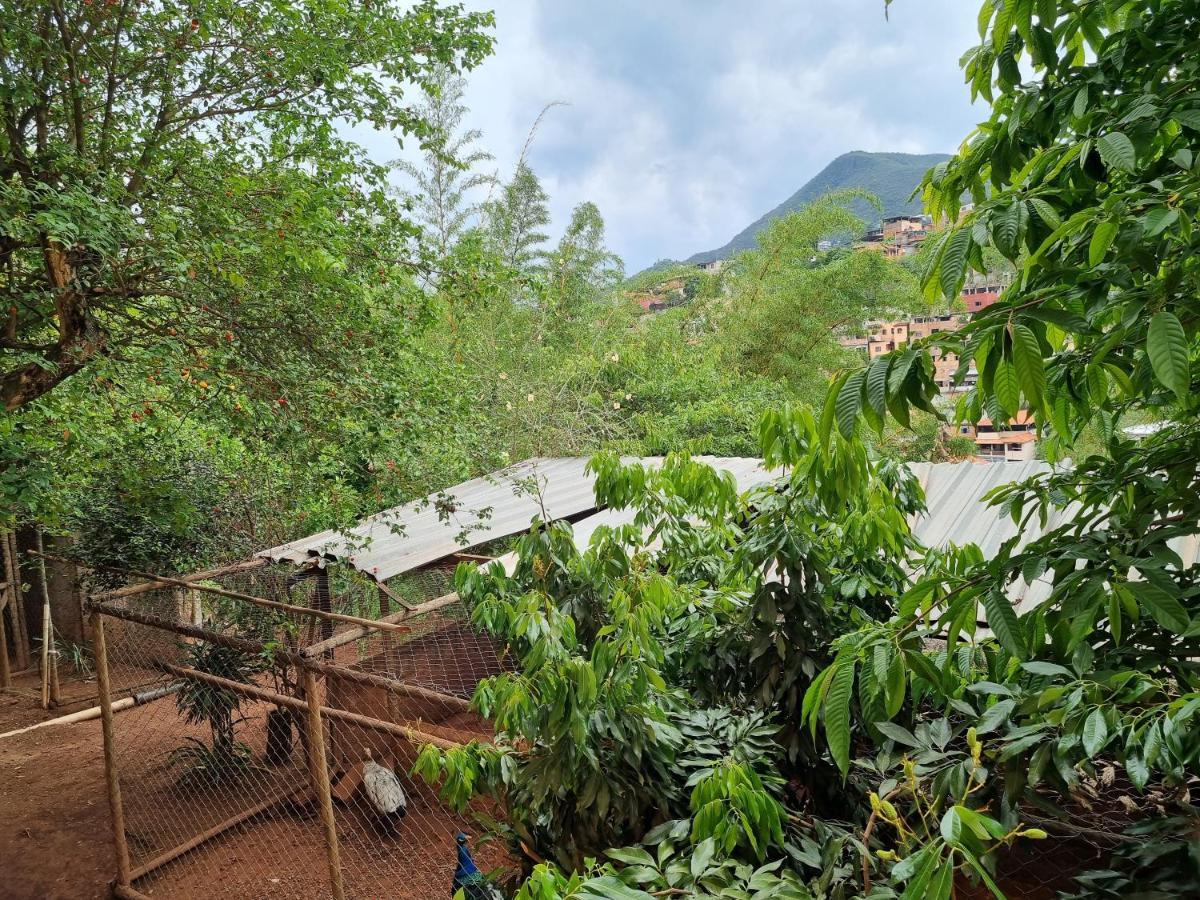 Casa Faisao Villa Nova Lima Bagian luar foto
